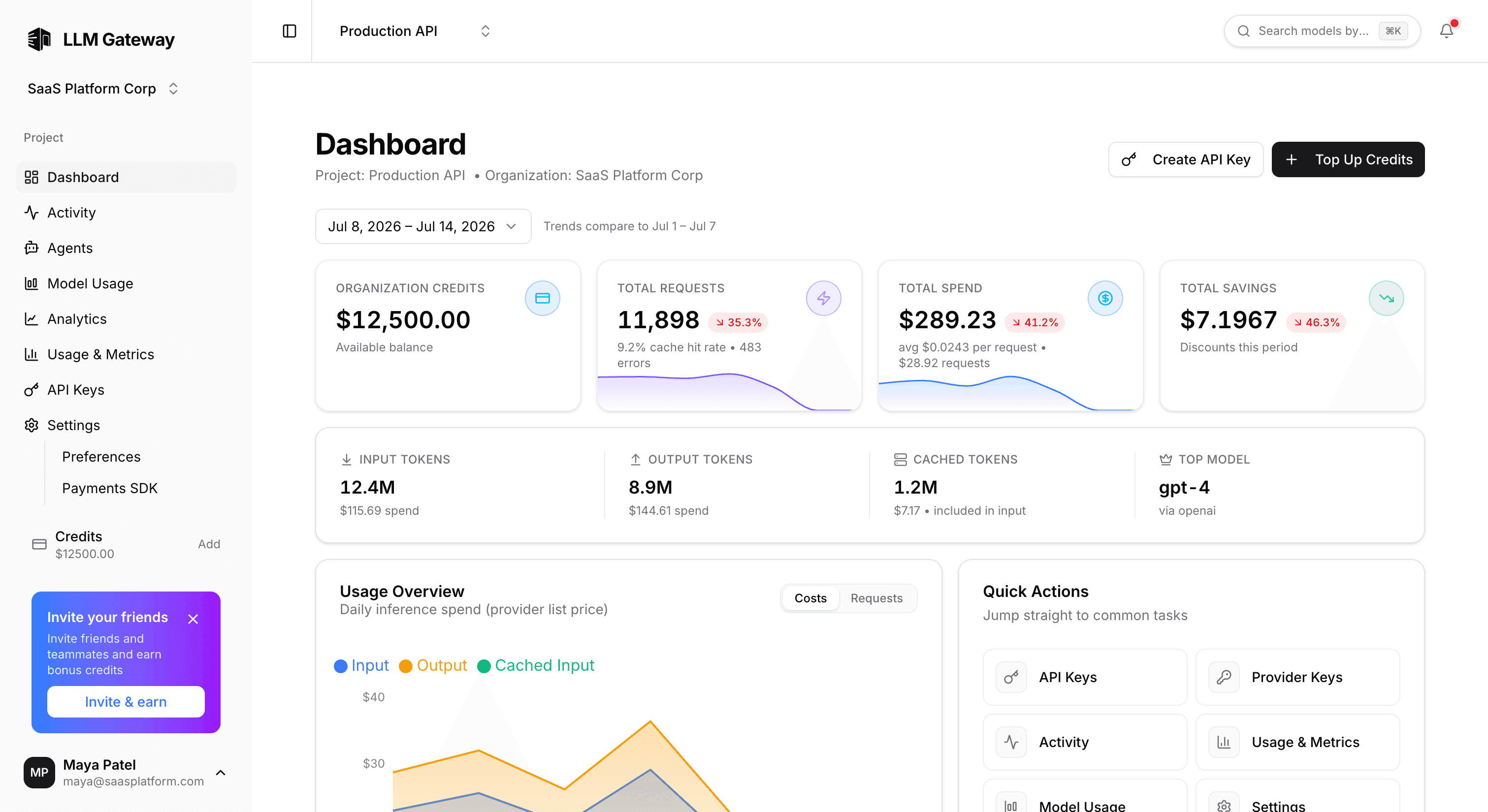 LLM Gateway dashboard showing analytics and API usage